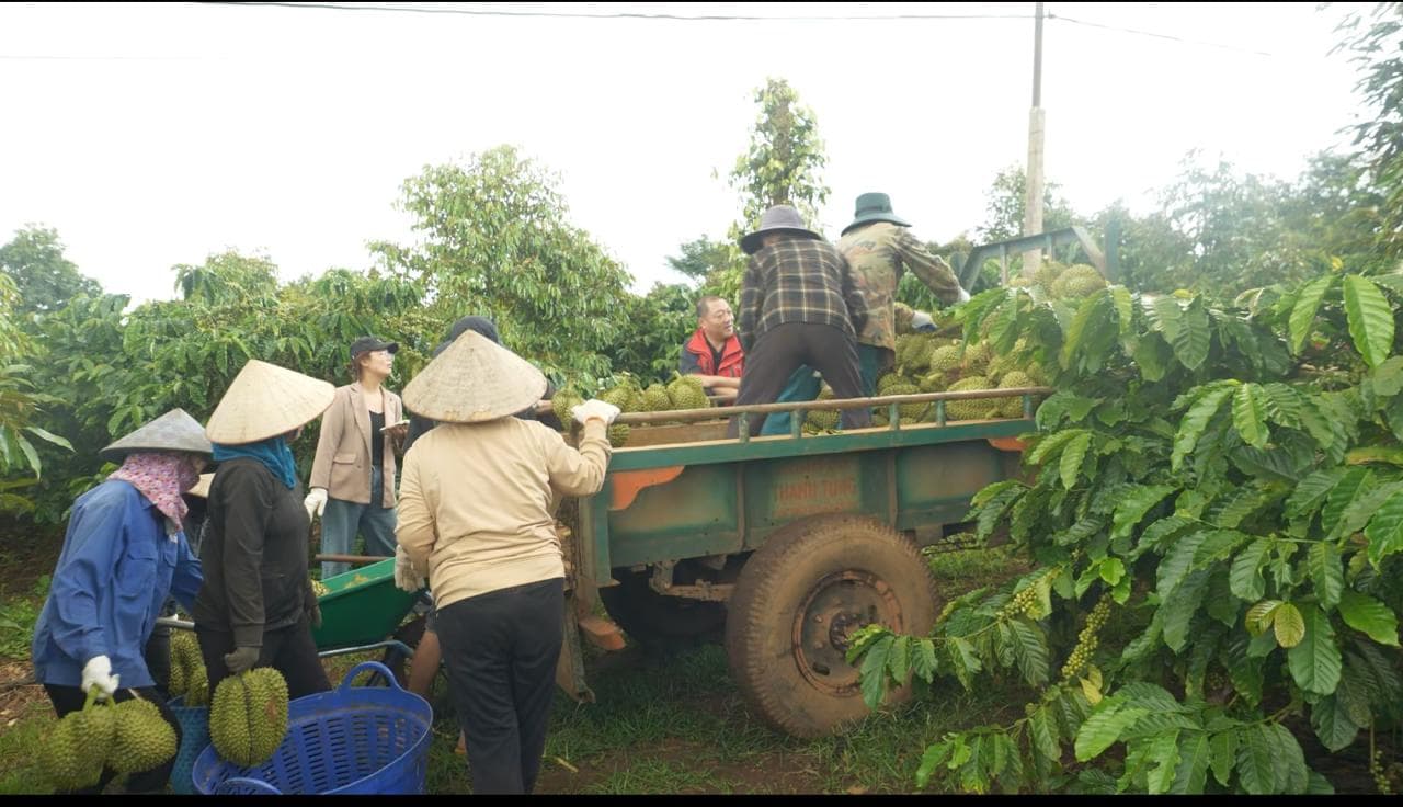 HTX Nong Nghiep DakLak